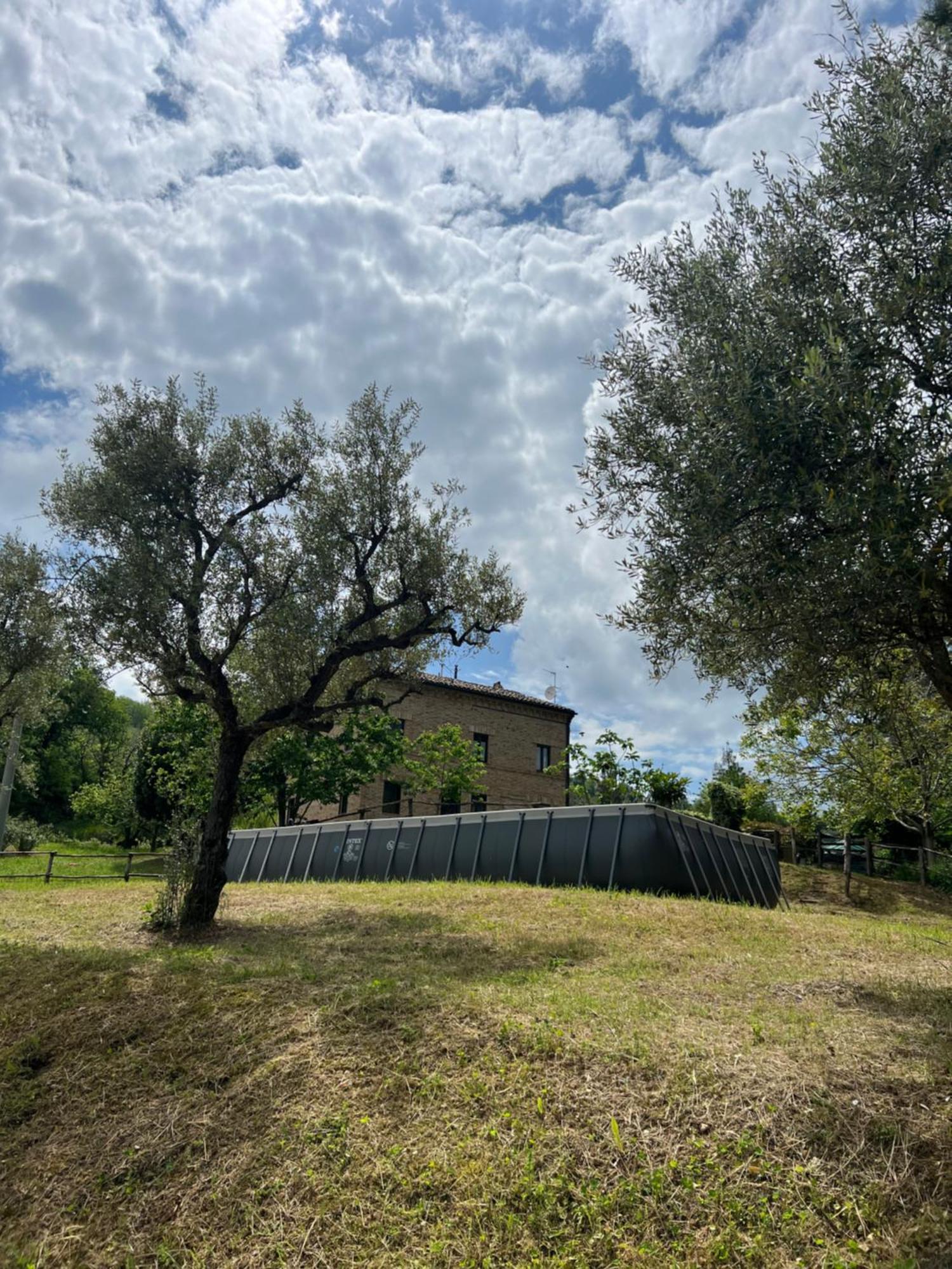 Tenuta Gran Bosco Loro Piceno Exterior foto
