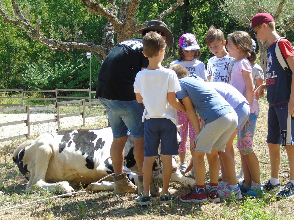 Tenuta Gran Bosco Loro Piceno Exterior foto